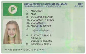 Green Temporary License Card