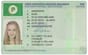 Green Temporary License Card